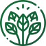 Tree Plantation