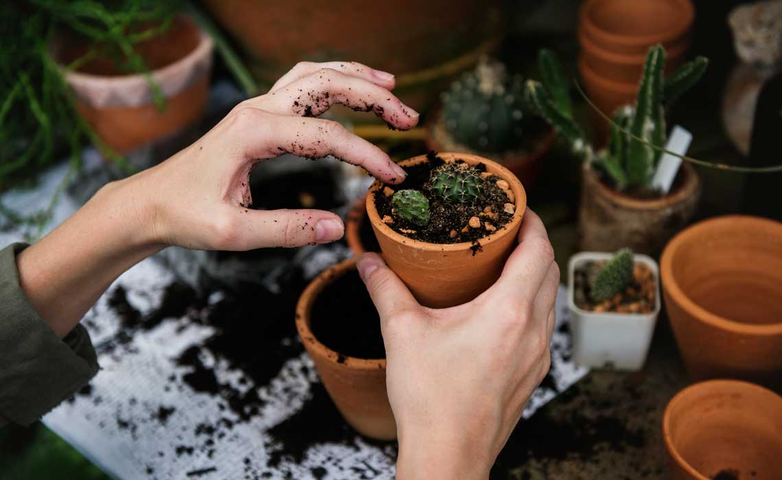 Garden Care