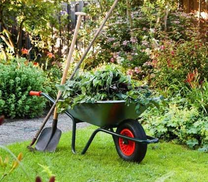 Flower Planting