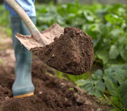 Irrigation & Drainage