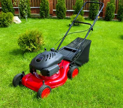 Hedge Cutting