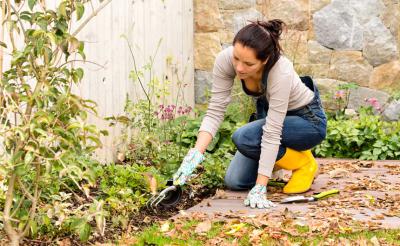 Spring & Fall Cleanup