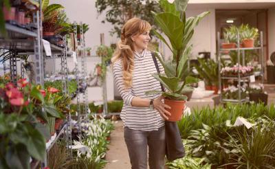 Flower Planting
